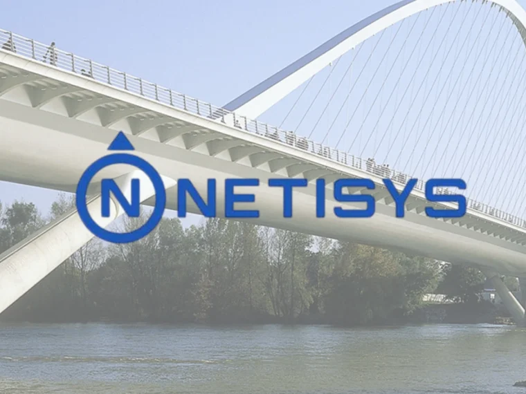 Logo de Netisys