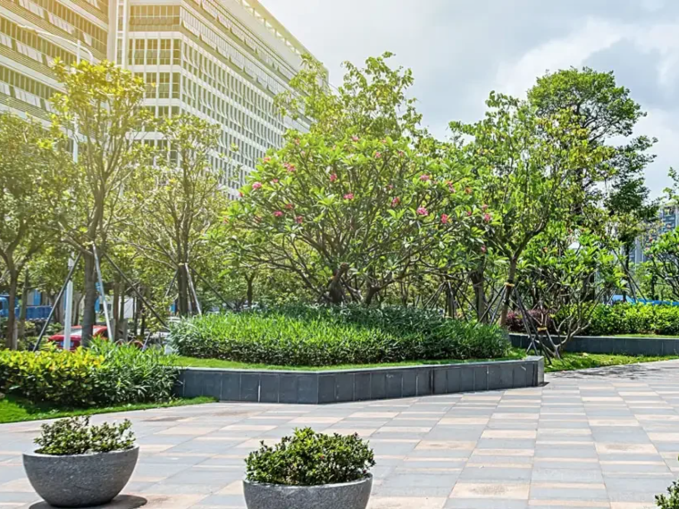 Mensura, quartier d'affaire avec des arbres